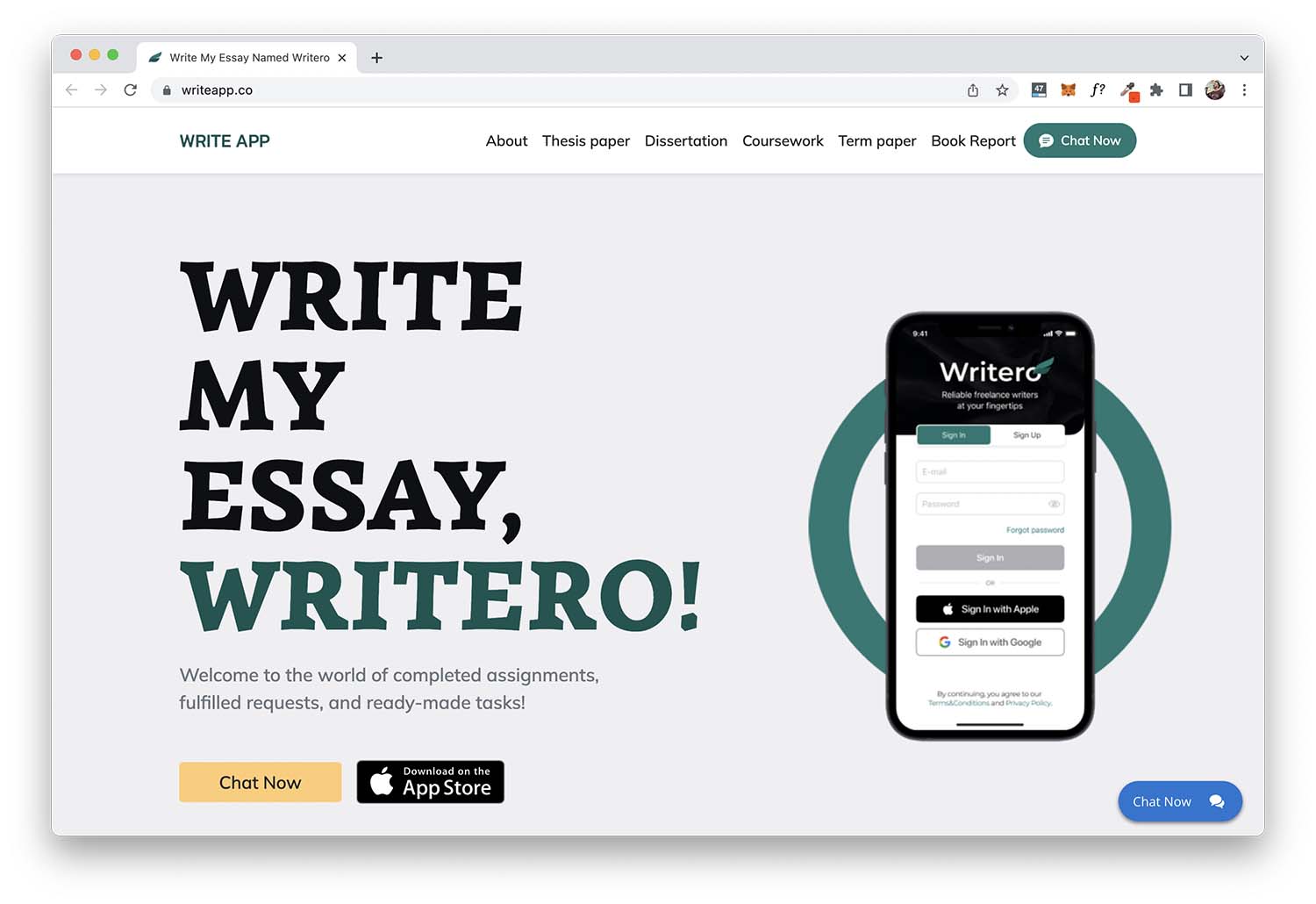 write essay website