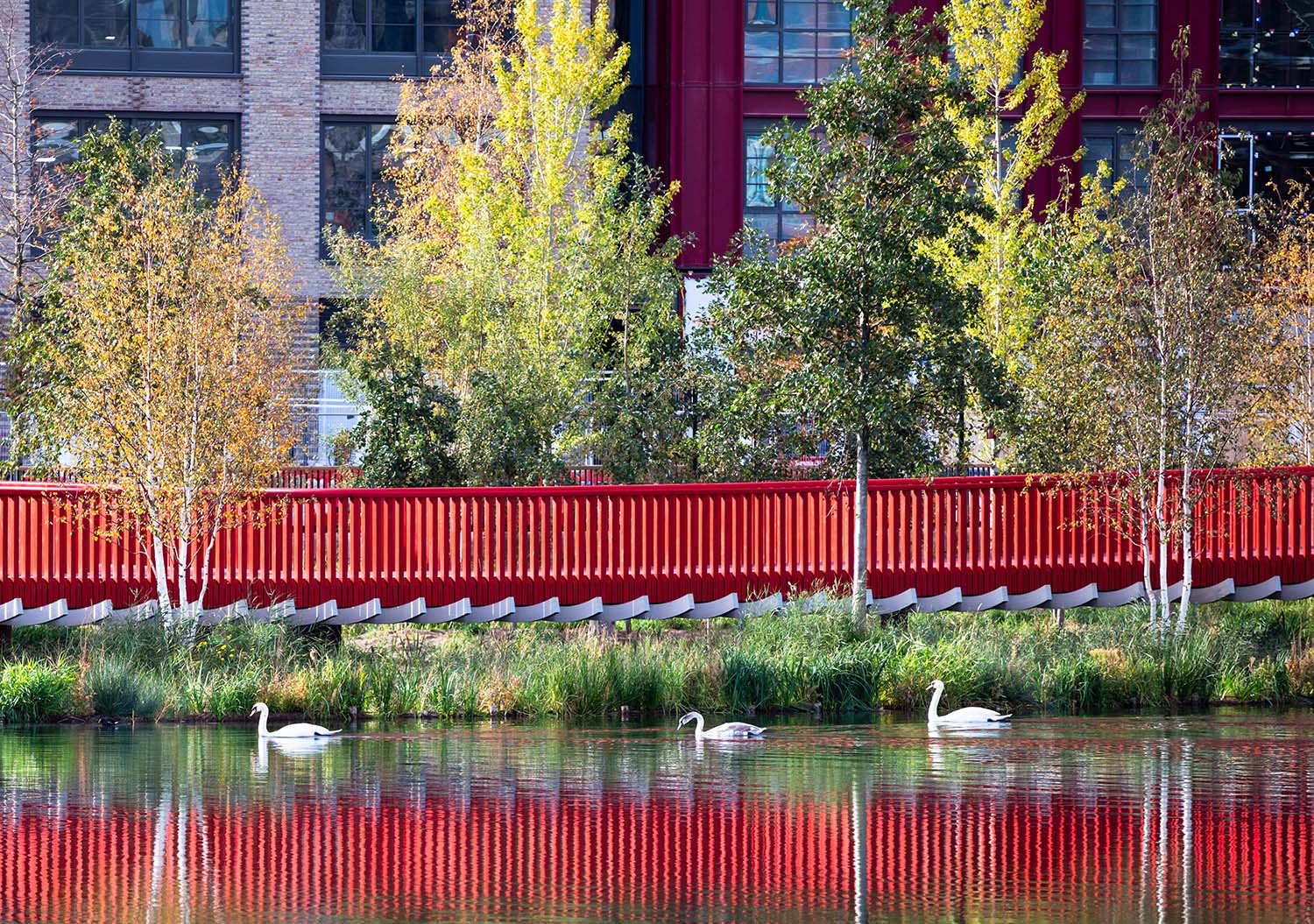 Asif Khan, Our Fathers Walked on Water Public Boardwalk, Canada Water