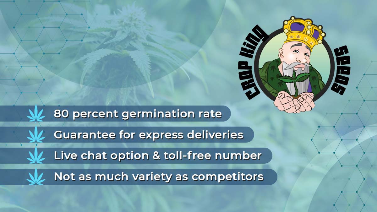 Crop King Seeds