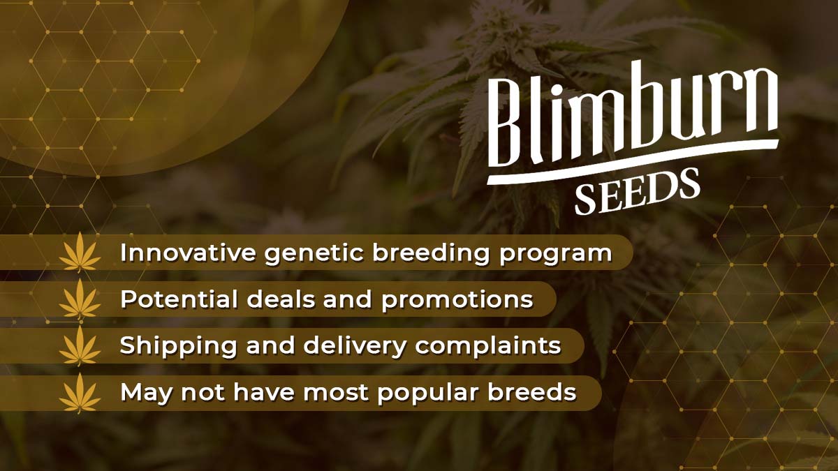 Blimburn Seeds