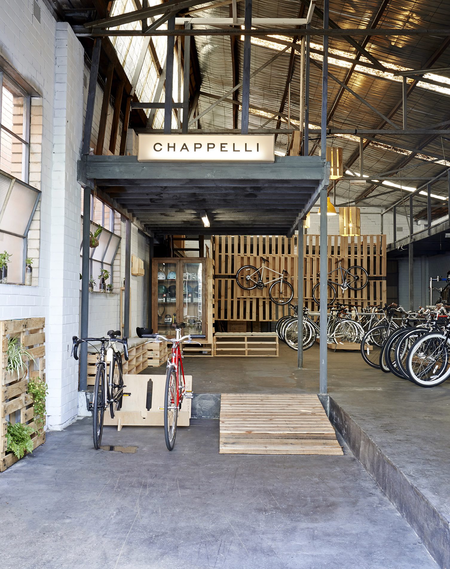 Chappelli nuvinci sales