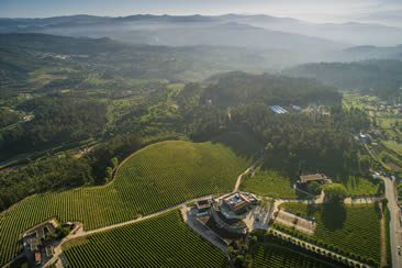 Douro Valley, Portugal