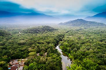 Exploring the Amazon Through Its Festivals