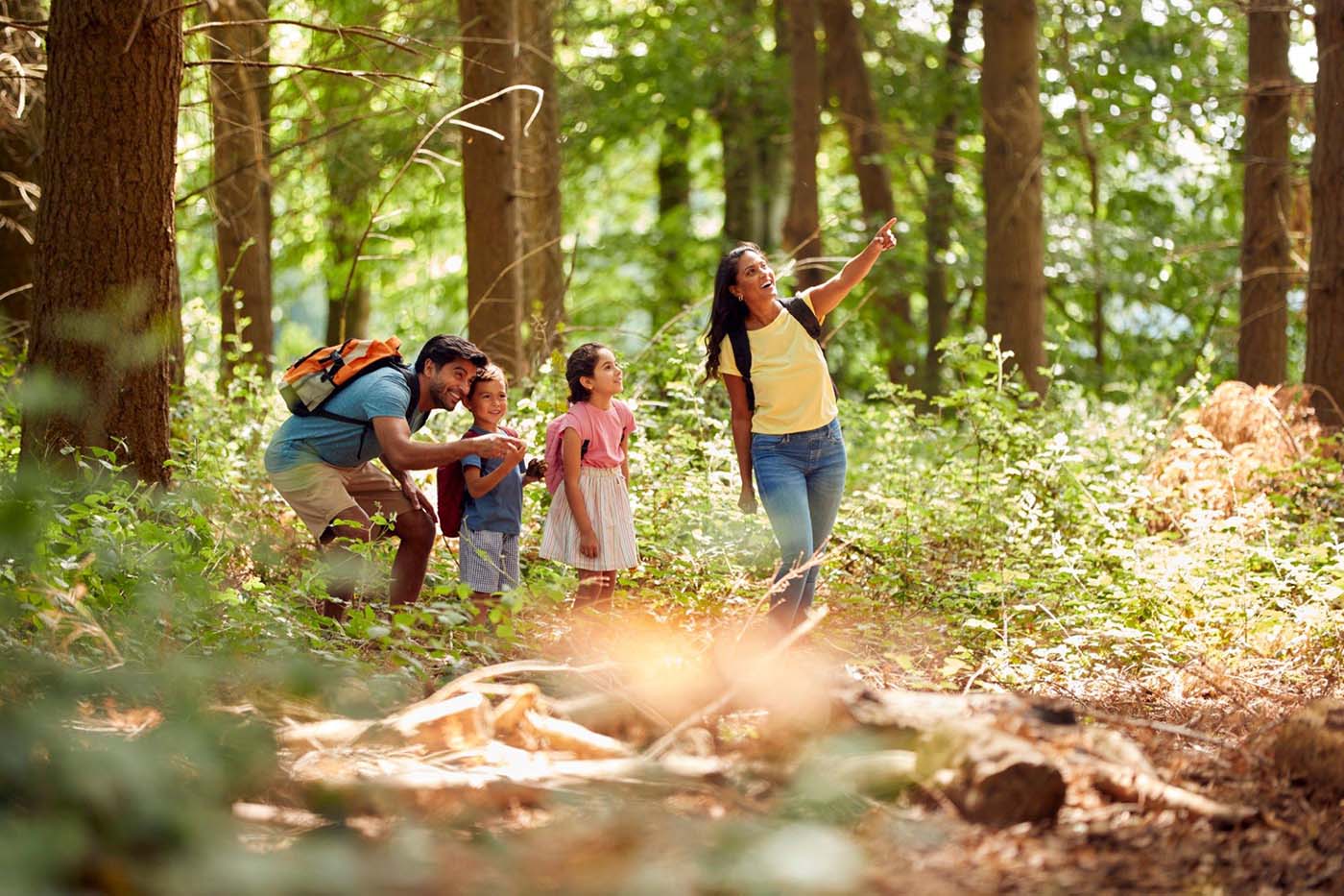 Family Hiking in Sweden