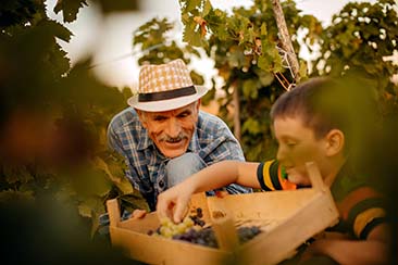 Family Friendly Wineries to Visit in Tuscany Family Friendly Wineries to Visit in Tuscany