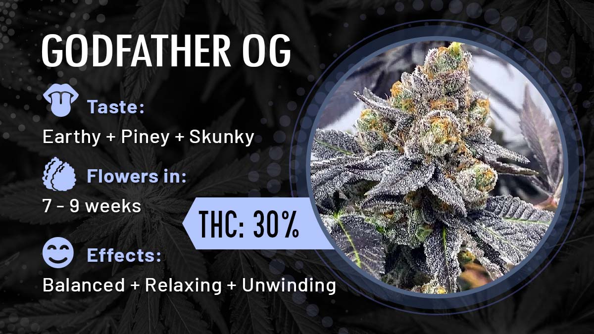 Godfather OG