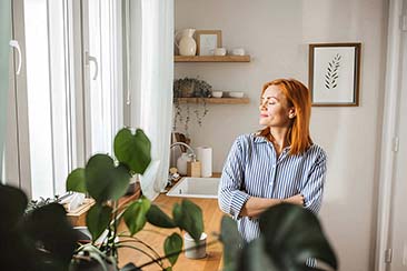 House Plants to Boost Your Mood House Plants to Boost Your Mood