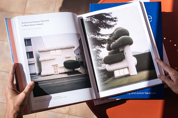 Living in a Dream:  Dreamscapes, Imagined Architecture, and Interiors by gestalten