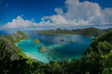 Discover the Untouched Beauty of Raja Ampat Discover the Untouched Beauty of Raja Ampat