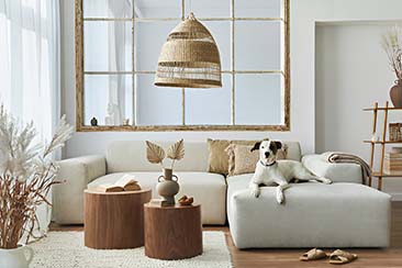 Travel-Inspired Living Space Travel-Inspired Living Space
